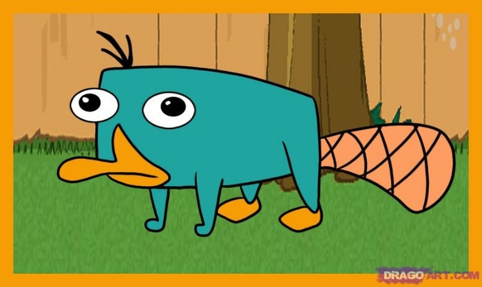 Perry - phyneas si ferb