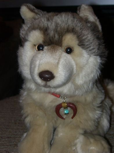 Webkinz_Signature_Timber_Wolf_by_Colliequest - poze multe