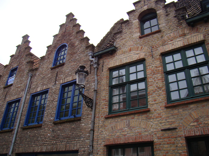 DSC01921