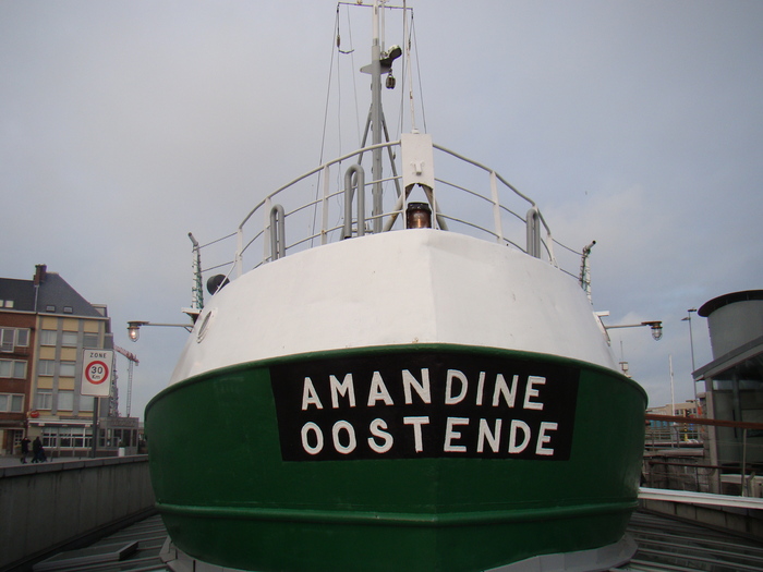 DSC00424