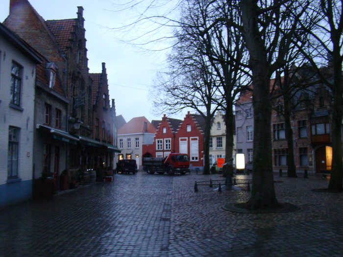 DSC00520