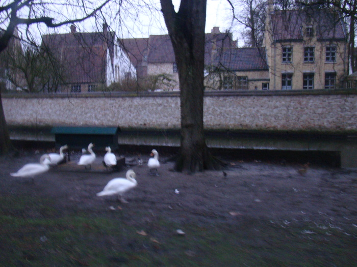 DSC00539