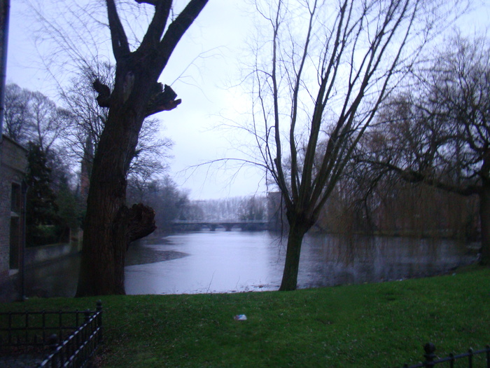 DSC00543