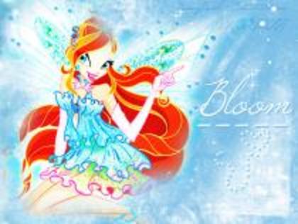 ai219155n801020 - winx