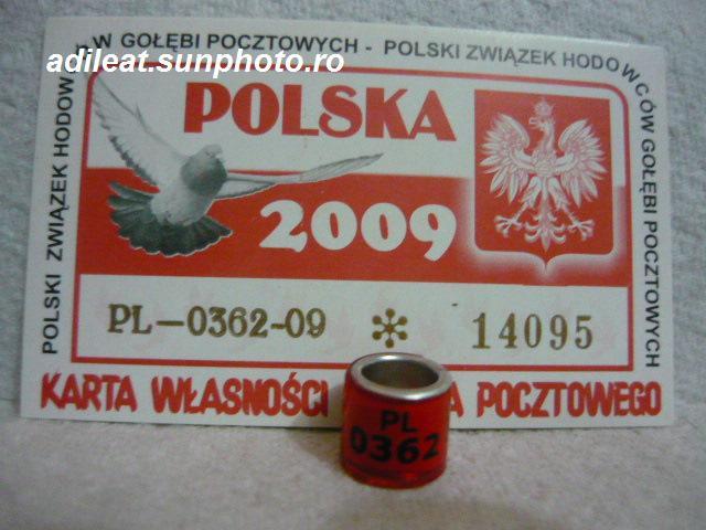 PL-2009 - POLONIA-PL-ring collection