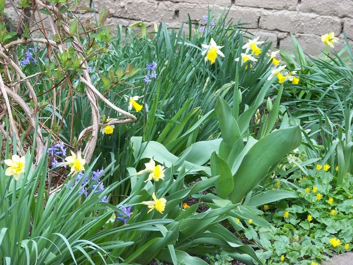 100_1726 - Aprilie 2011