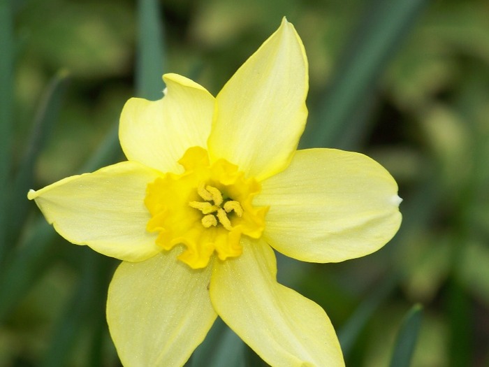 100_1745 - Aprilie 2011
