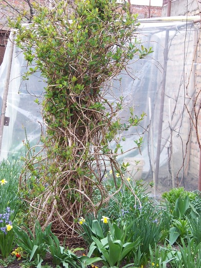 100_1838 - Aprilie 2011