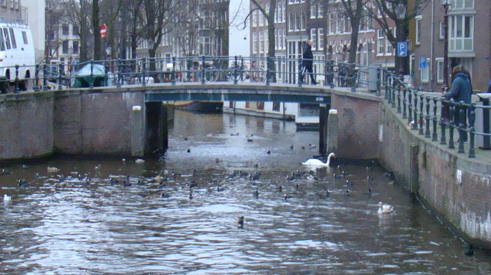 DSC01081 - Amsterdam