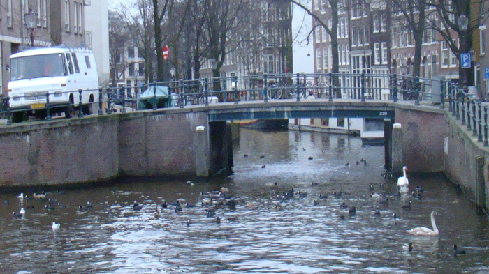 DSC01082 - Amsterdam