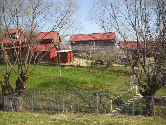 puntea spre laculetul cu carasi