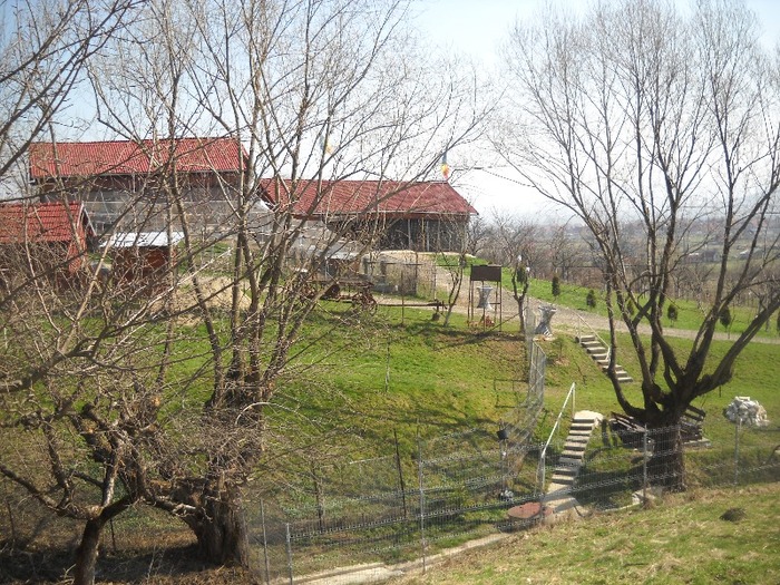 puntea in unghi mai favorabil