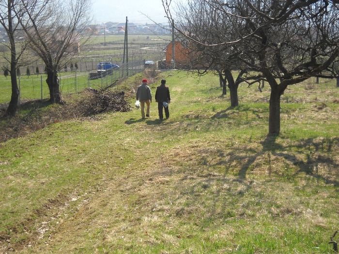 captura de urzici