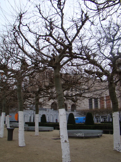 DSC01213 - vacanta Bruxelles 2011