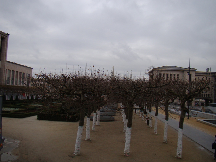 DSC01217 - vacanta Bruxelles 2011