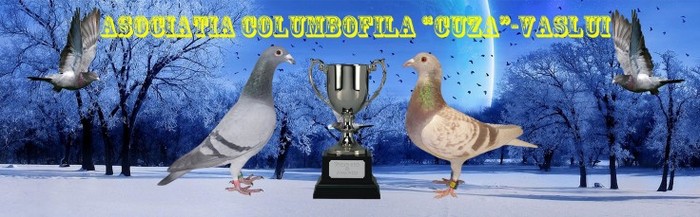 ASOCIATIA  COLUMBOFILA VASLUI