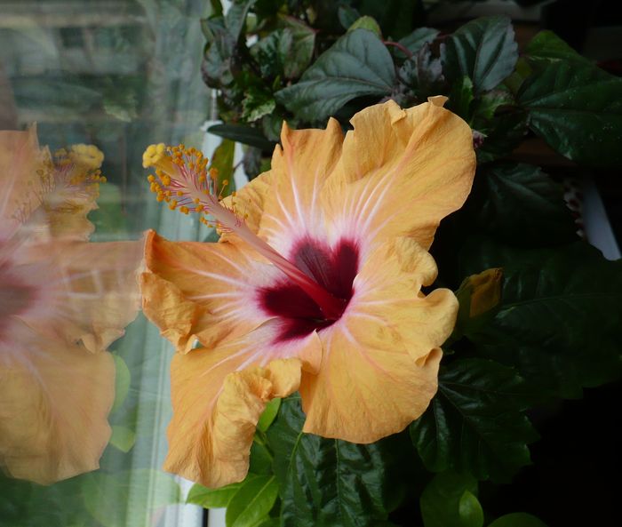 2 apr