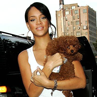 med_rihanna_artist_photo12 - rihanna