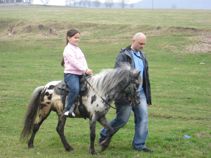 IMG_9991 - ECHITATIE 2011