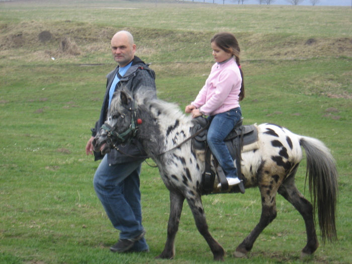 IMG_9993 - ECHITATIE 2011