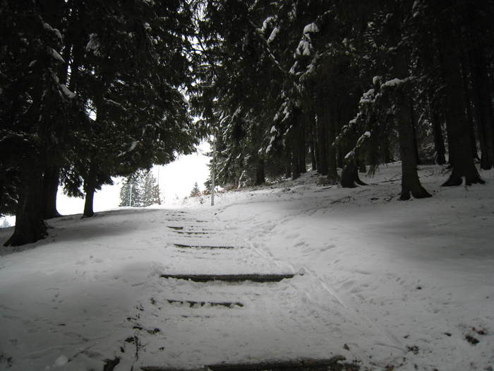 POIANA BV 27.02.2011 026