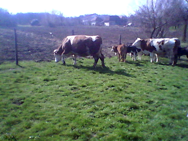 2011_04_03_11_48_18_957