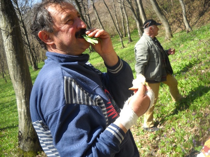 solist instrumentist...la frunza - LEURDA PLANTA VIETII