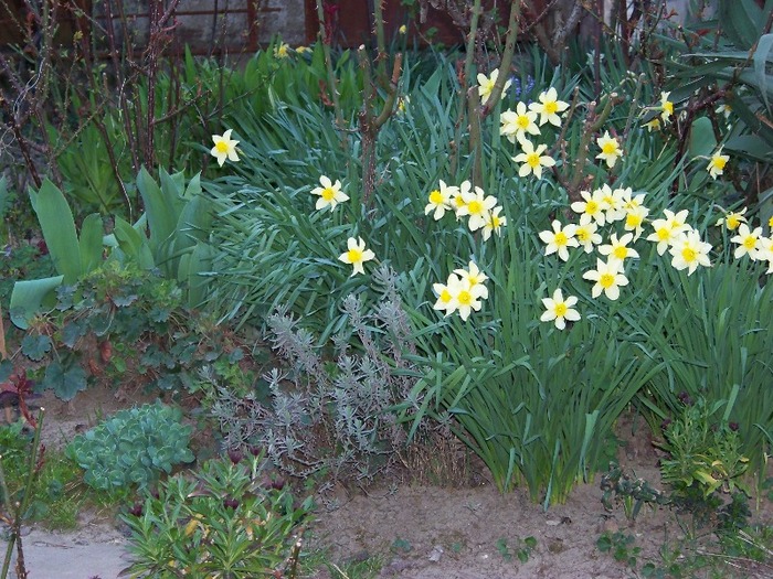 100_1938 - Aprilie 2011