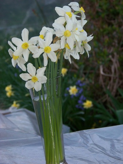 100_1943 - Aprilie 2011