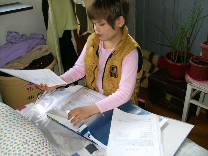 aranjarea mapei scolare