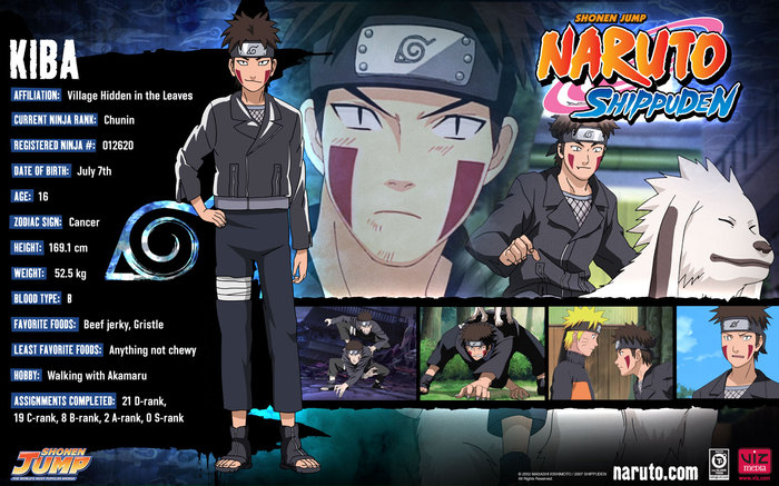 Kiba wallpaper - Naruto si Sasuke