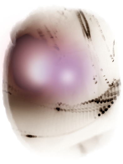 ghhsldhfglhsgzflgwfvbhsrf