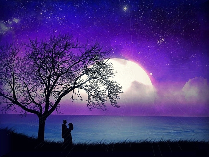 love_wallpaper31[1]