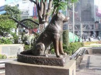 statuie din bronz in amintirea lui hachiko - HACHIKO povestea unui caine