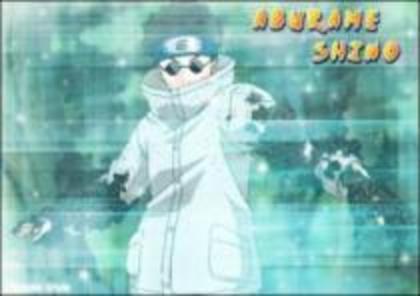 Shino