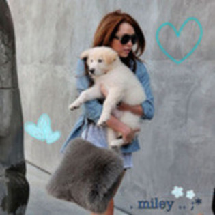 24635340_BMBWPWVSX - 0 Album pentru xXMileyCyrus4EverFanXx