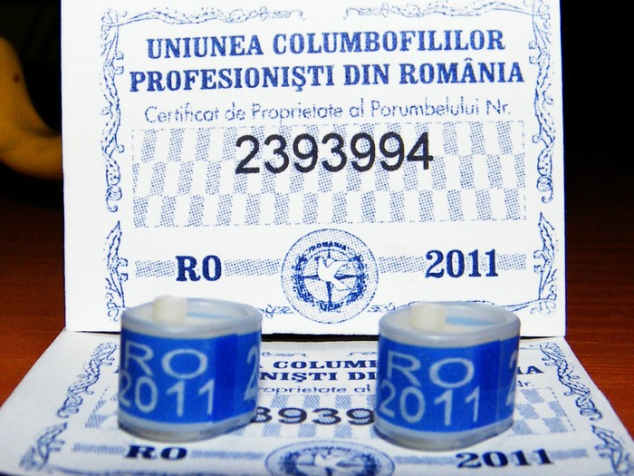 RO 2011 cu cip - 2 inelele mele