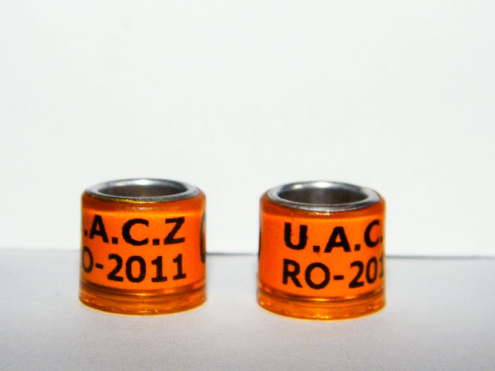U.A.C.Z - RO 2011 - 2 inelele mele