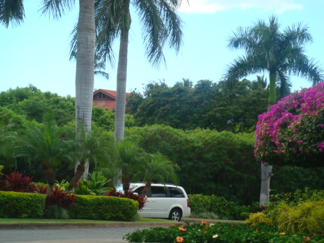 MAUI- March 2011 296