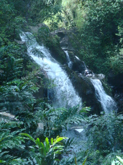 MAUI- March 2011 049