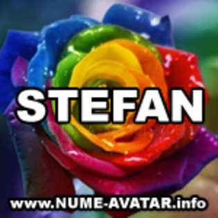 Trandafirul Stefan - Nume de avatar cu numele Stefan