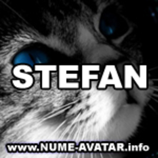 Pisica Stefan - Nume de avatar cu numele Stefan