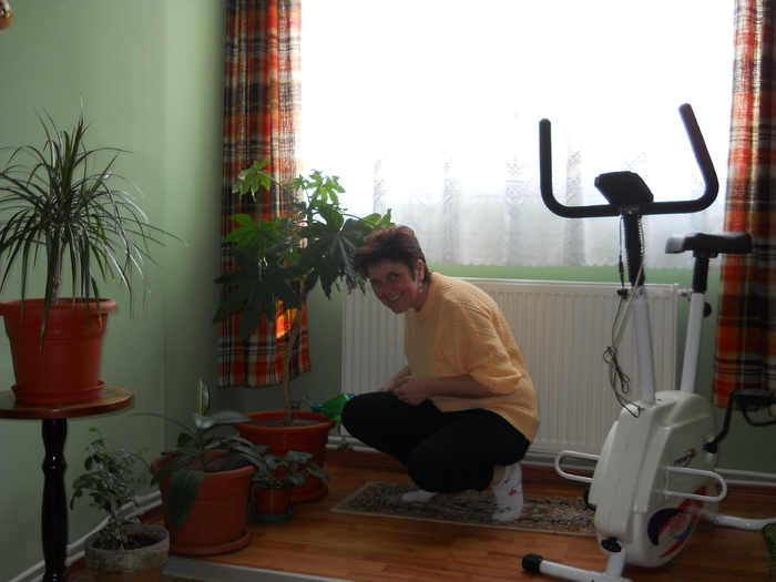 astâmpar setea plantutelor