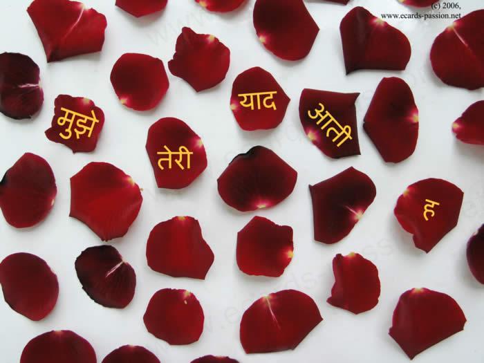 i-miss-you-in-petals-hindi-2 - Te iubesc-I love you