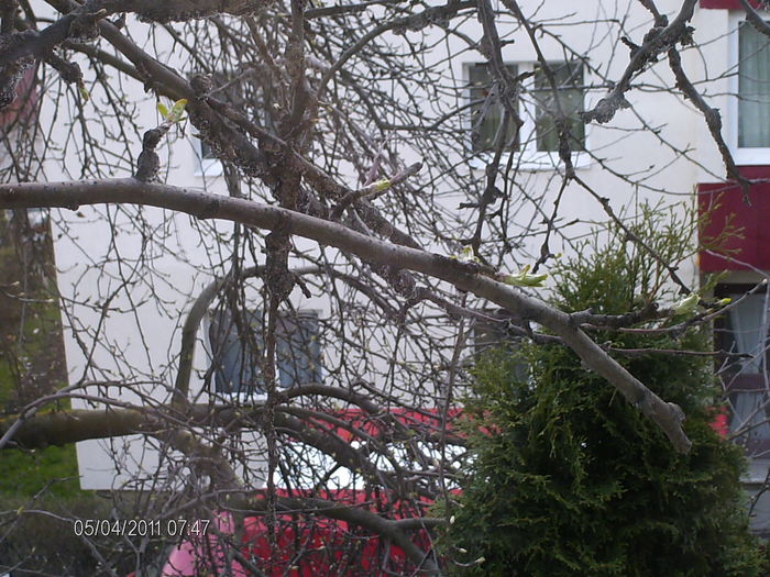 muguri la geamul meu...