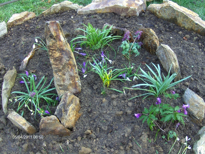 GHIOCEI , BRANDUSE; VALEA RAULUI DOAMNEI
