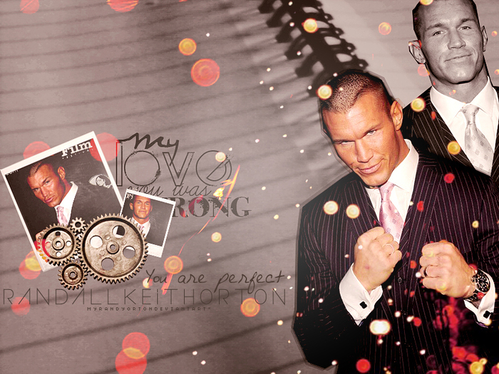 Elegant-Randy-randy-orton-19135967-800-600