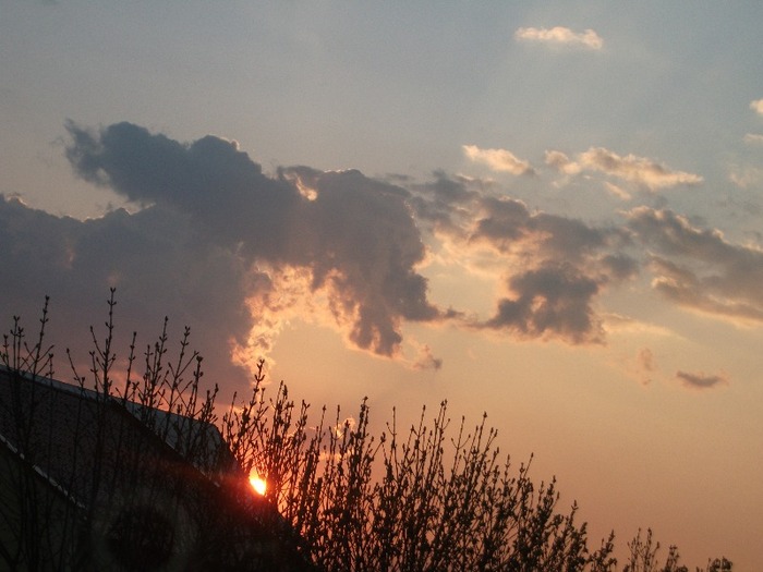 Picture 1060 - Cerul la apus