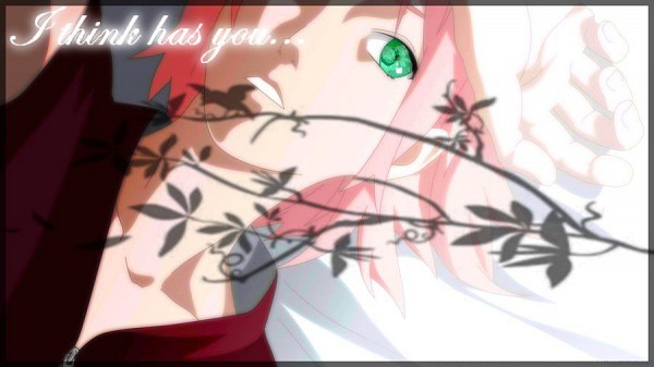 311826 - Haruno Sakura
