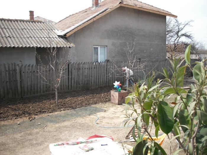 DSCF1251